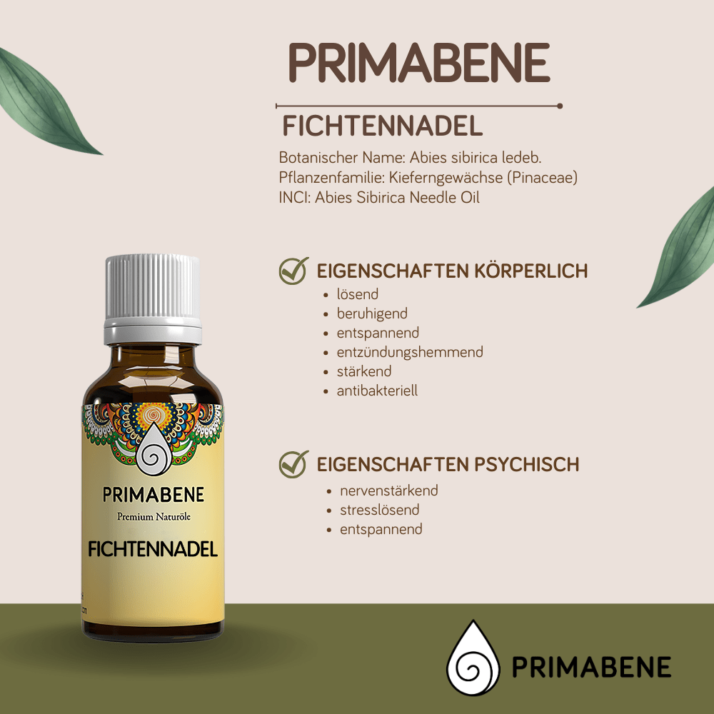 Bild von Fichtennadel , 100% rein ätherisches Öl